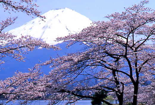142841_1_0.jpg
