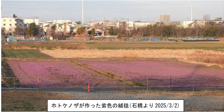 みちくさNo.330表紙写真
