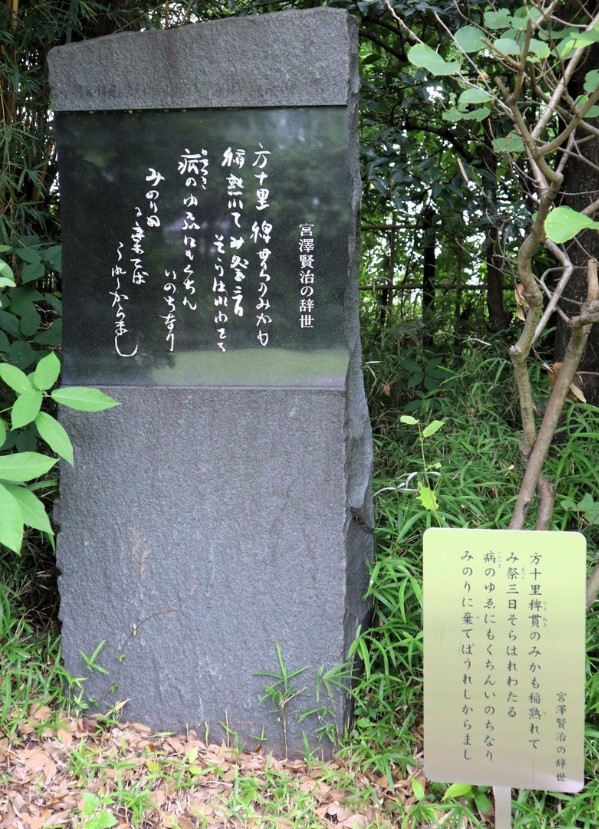 3486e34ee20a4744e696c4fcdab8e27a