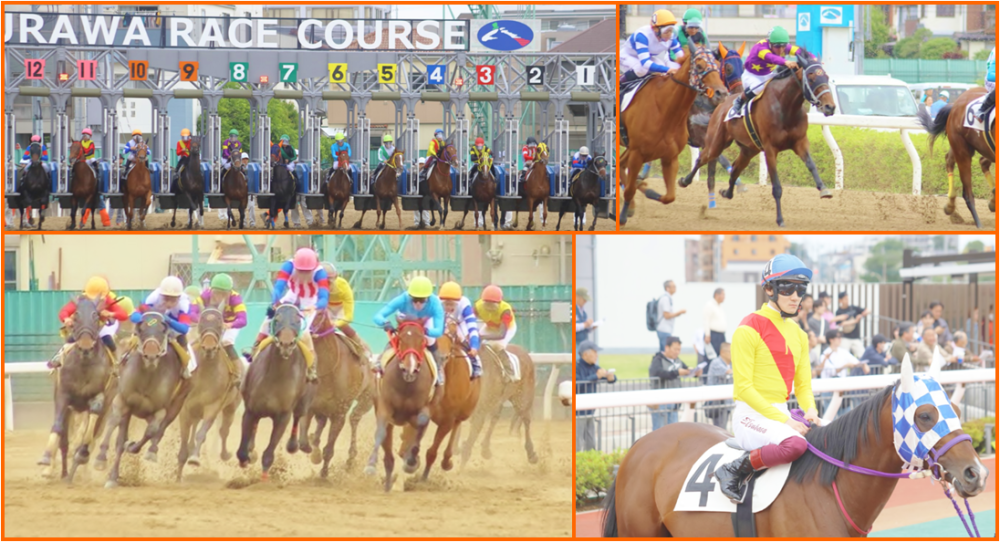 競馬3