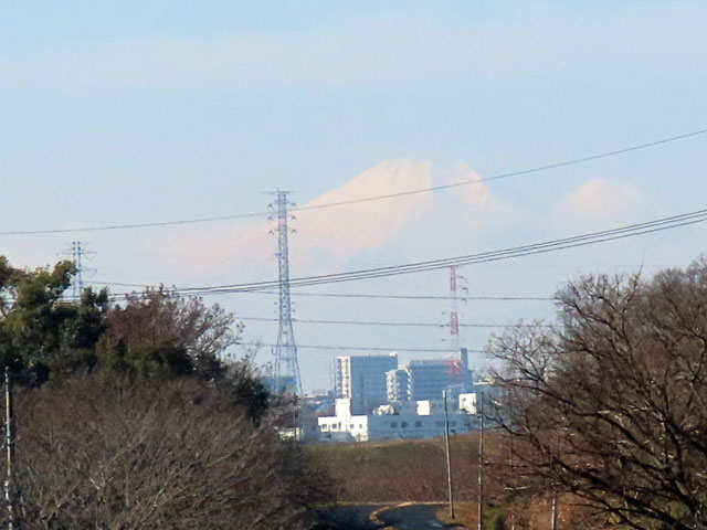 250120fuji