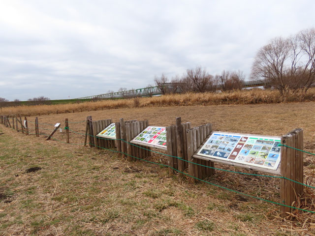 250203hokanchi