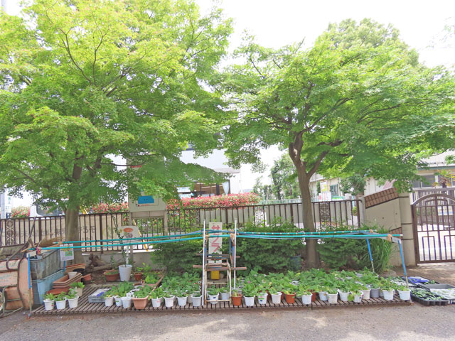 250521shibiraki