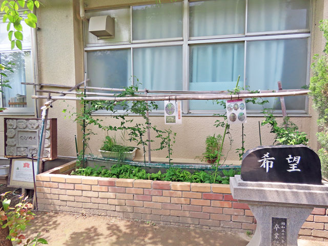 250521tsuchiai