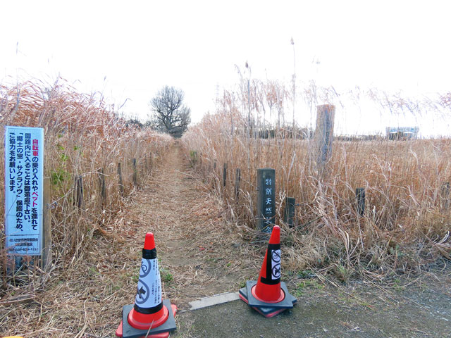 251222chuokansatsuro037