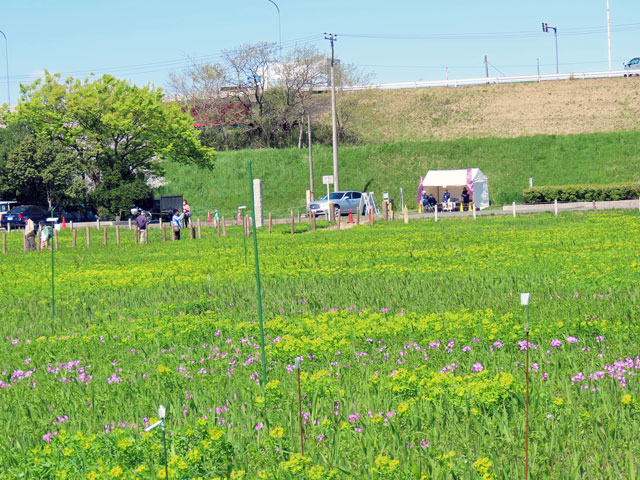 260120jiseichi250409