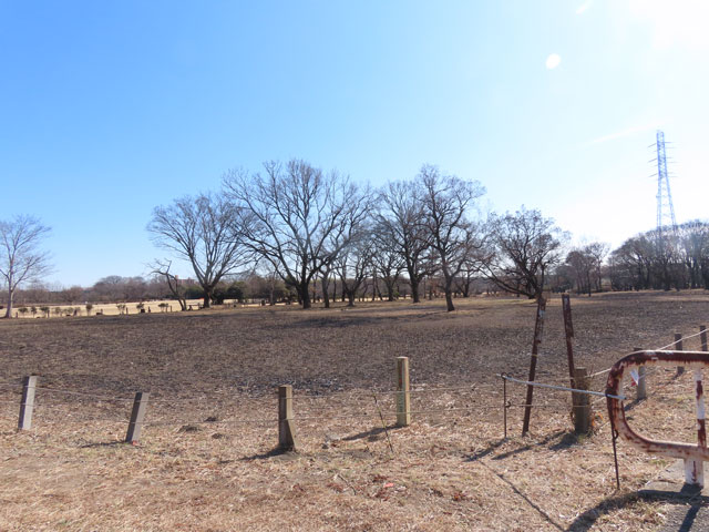 260204dai2jishiteichi