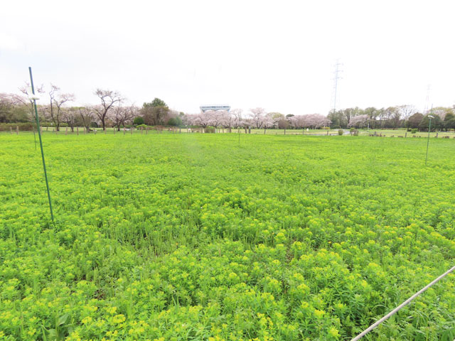 260402nourushi018