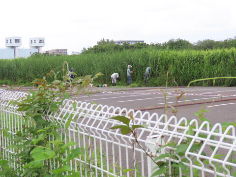 260707seibi