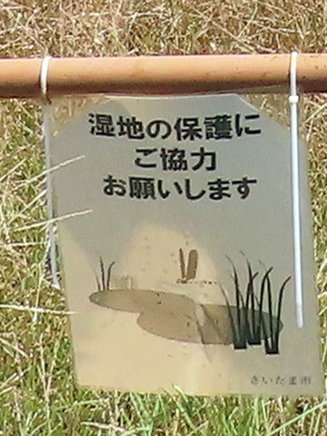 261008hyoji016