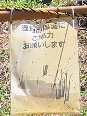 261008hyoji60