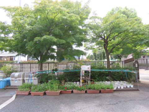 260822shibirakikadan