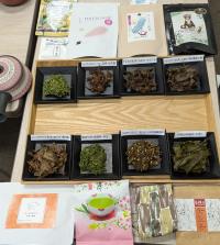 PXL_20260319_024536921.MP