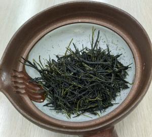 PXL_20260205_021555032.MP