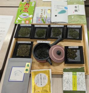 PXL_20260409_005515247.MP