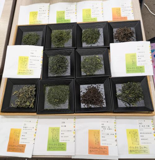 PXL_20260109_010056931.MP