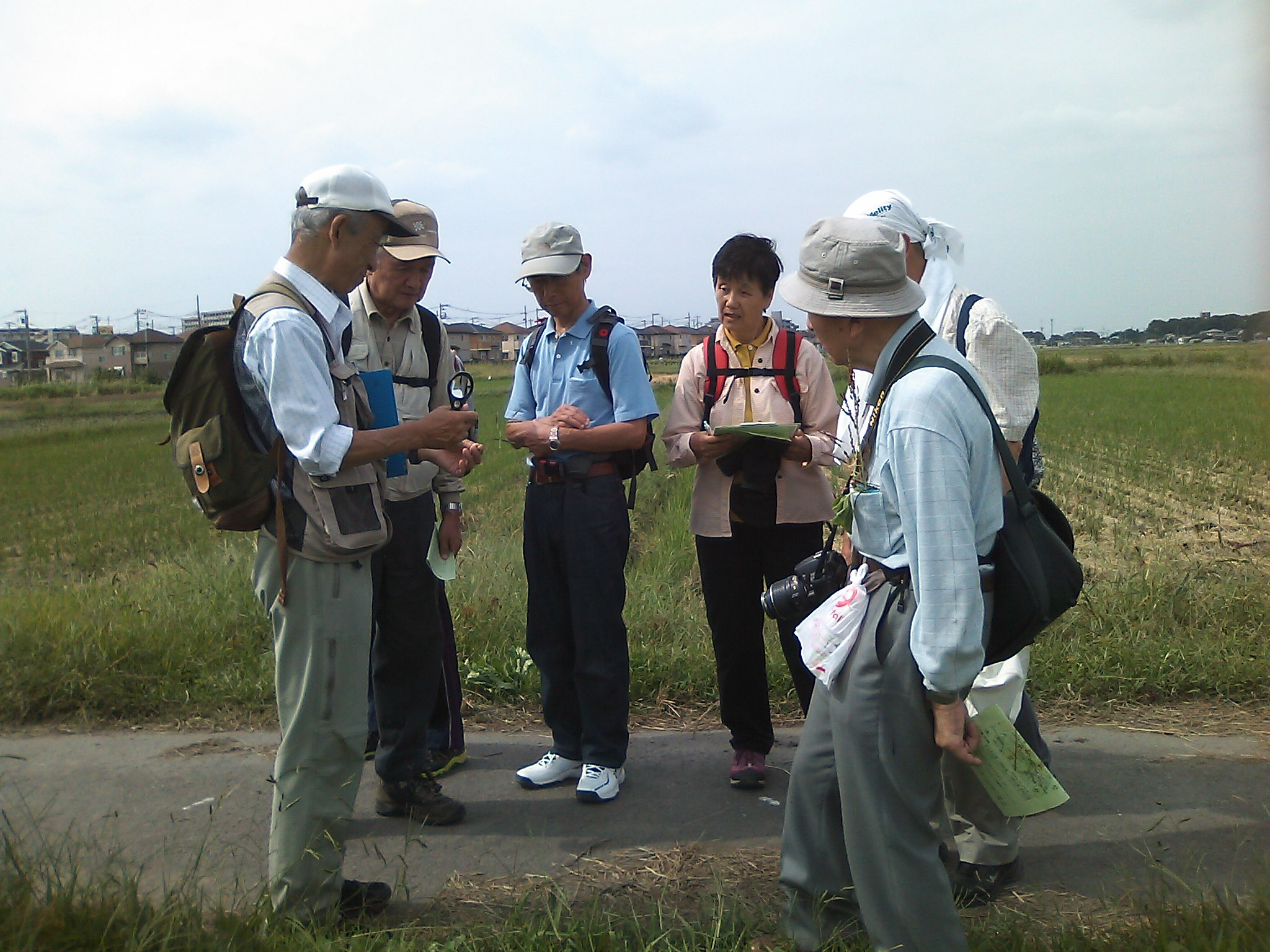 観察会丸ケ崎19