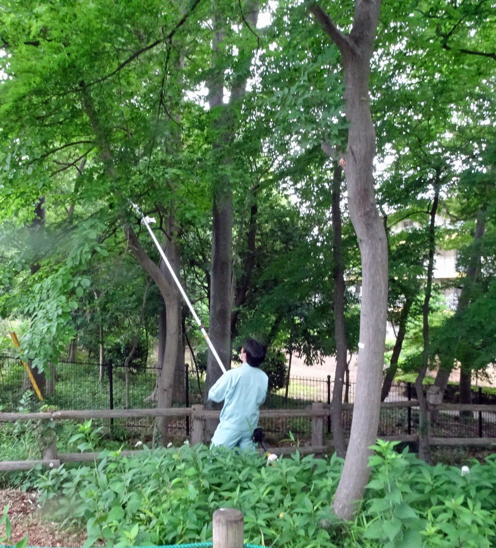 枝オロシ8130