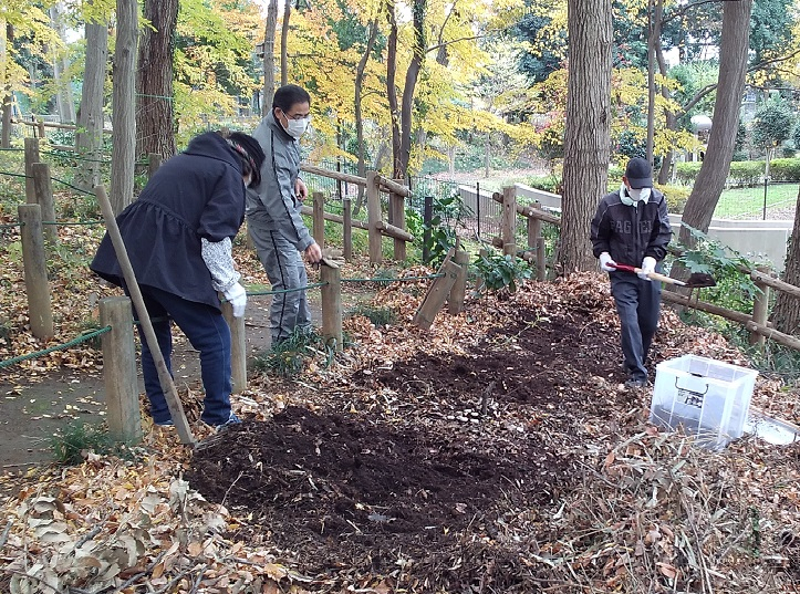 カブトムシ幼虫046