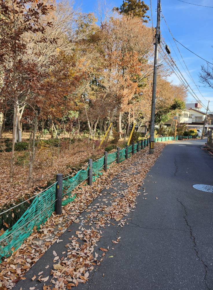 2024-12-28大牧緑地