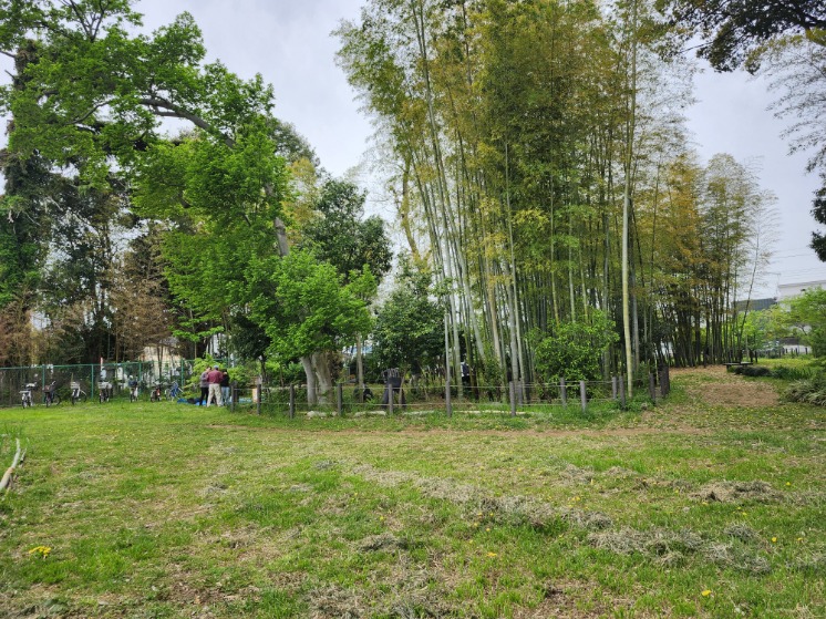 20250420_中尾緑地作業風景-3