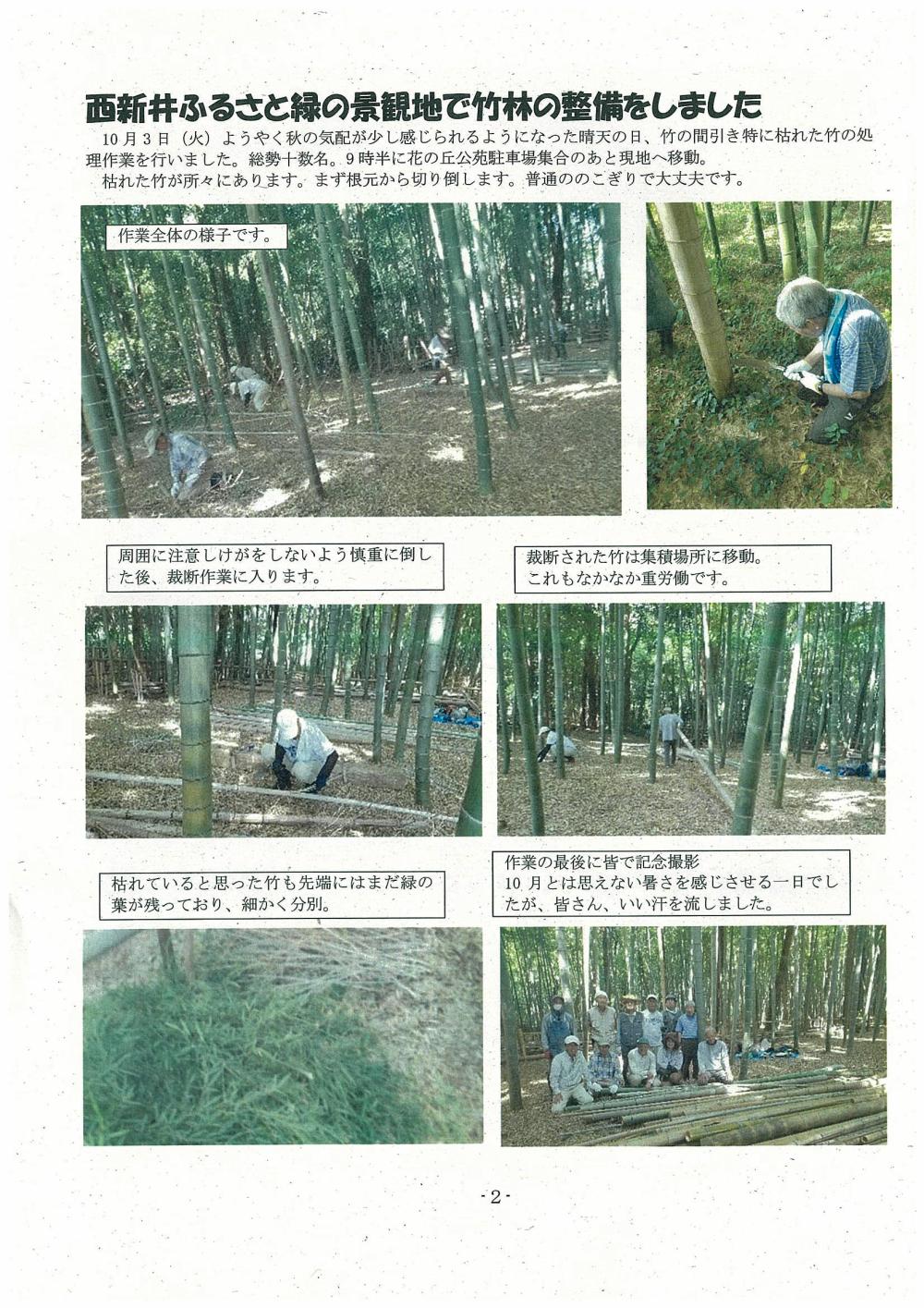 西新井、竹林の整備