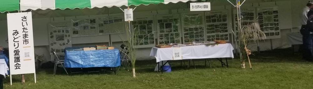 2024-10-20準備paneru 