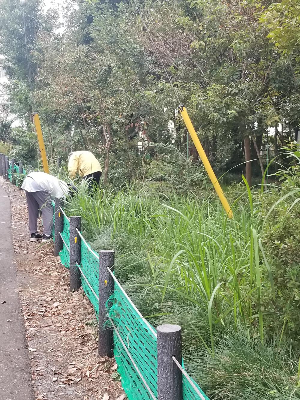 大牧作業2021-4-10-26-3