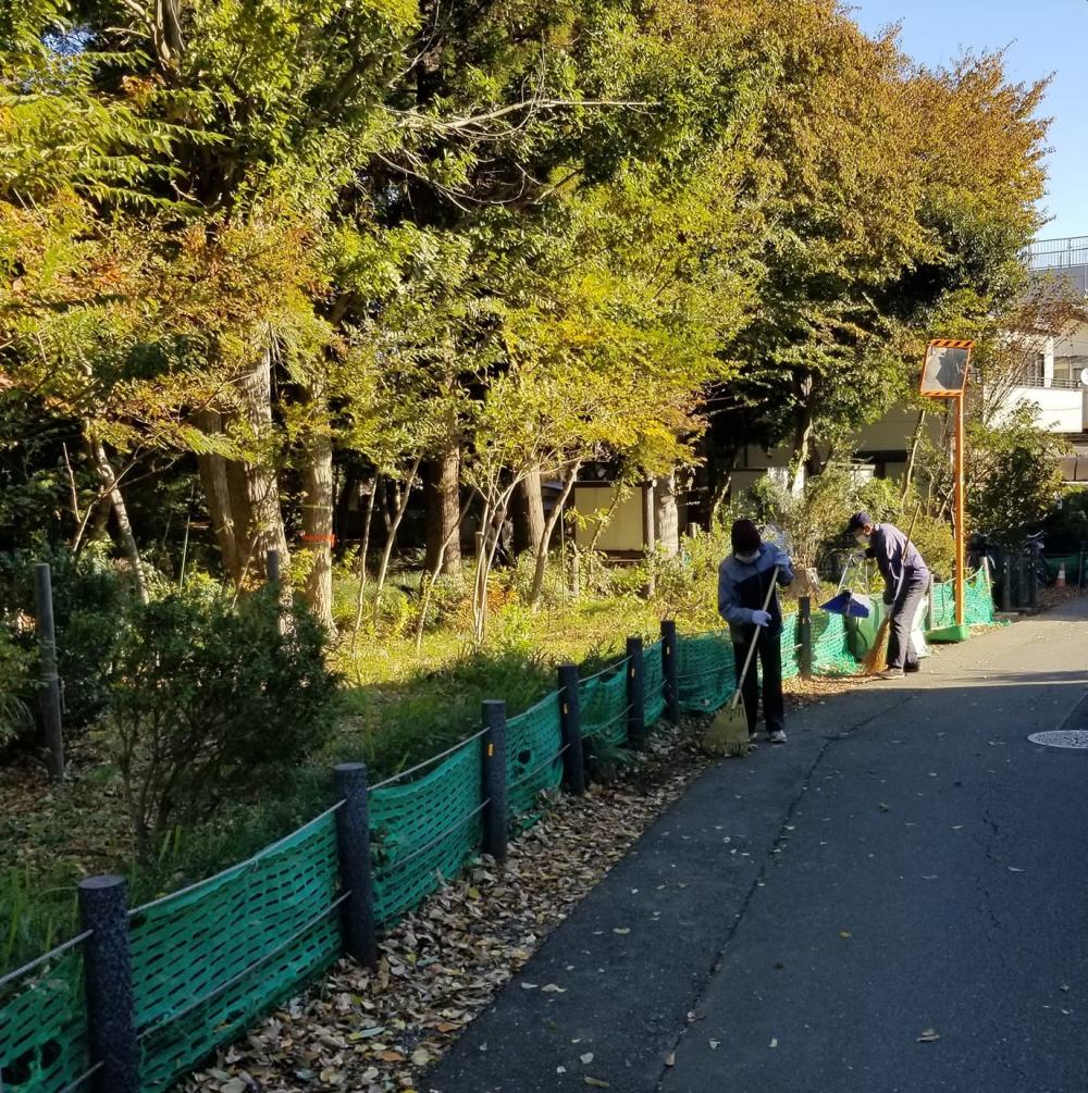 2024-11-23大牧作業