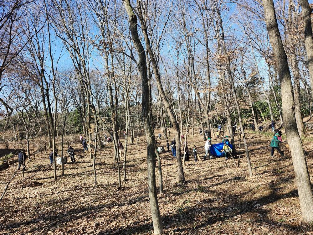 雑木林体験広域