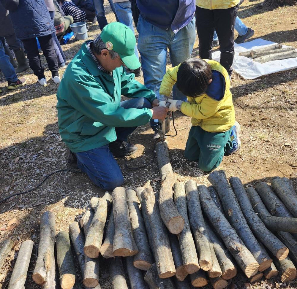 シイタケドリル明け２