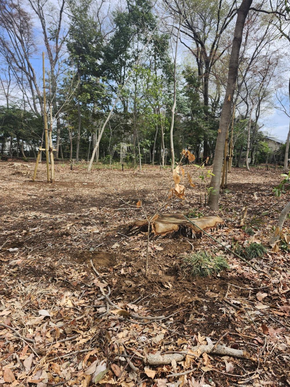 20260328大牧緑地ー２