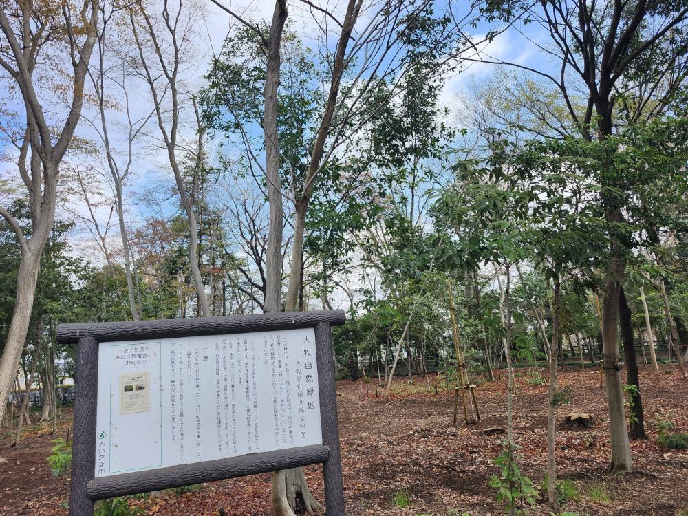 20260328大牧緑地ー3