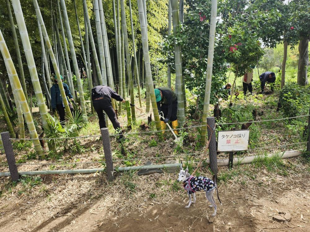 中尾20260419作業写真２