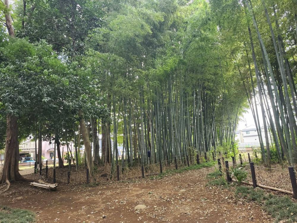 中尾無人風景