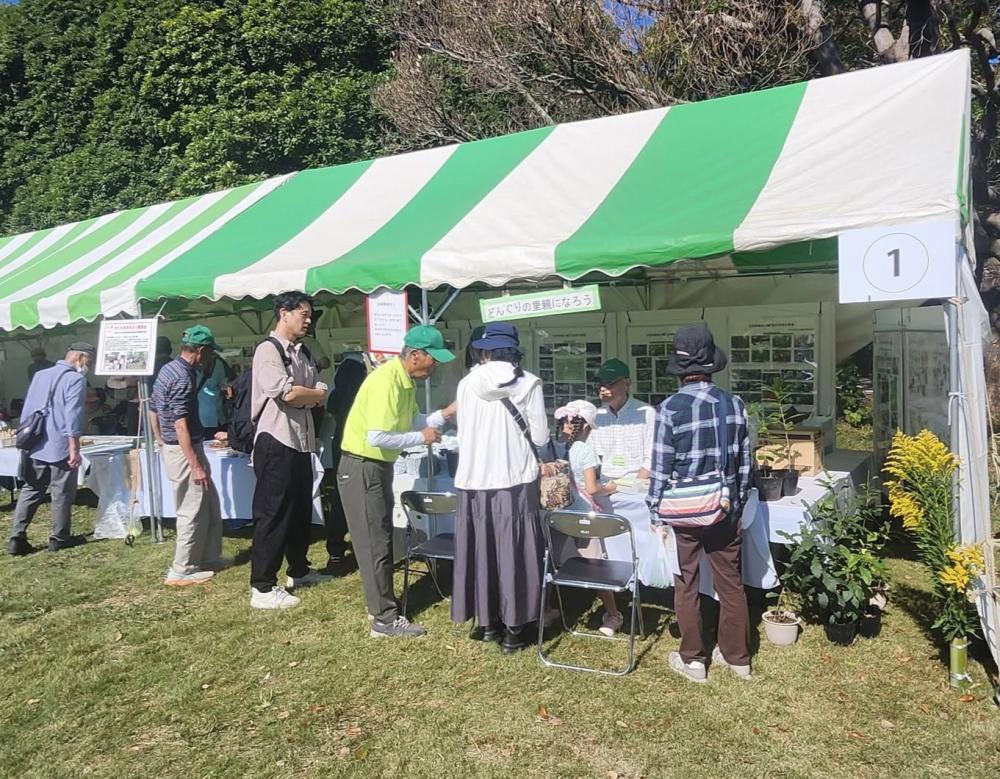 みどりの祭典R8全体風景ーどんぐりの里親