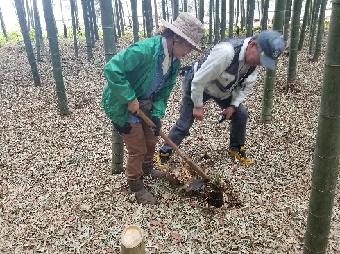 ⑧筍掘り指導状況２