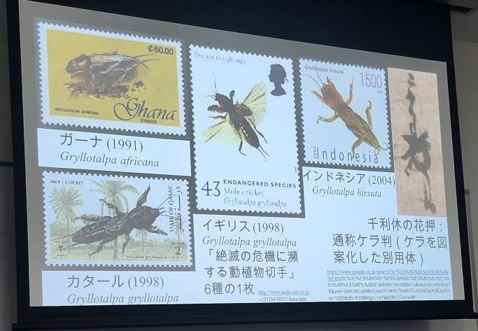 おけら６切手