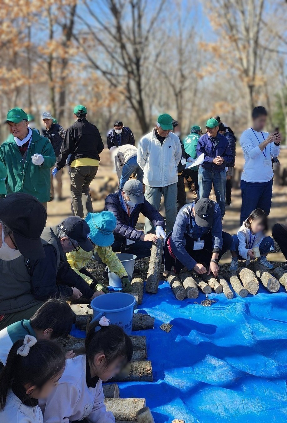 コマうち風景２