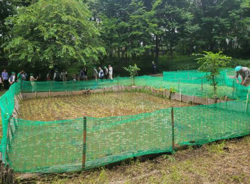 大和田田植え完了