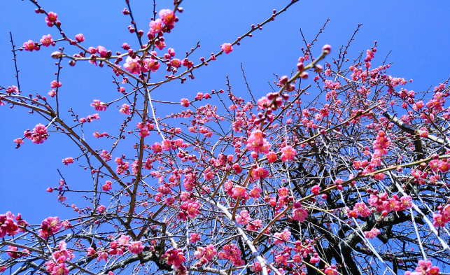 リンクページ2020.3web